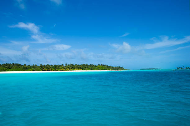 istock beautiful beach and tropical sea 2191629993