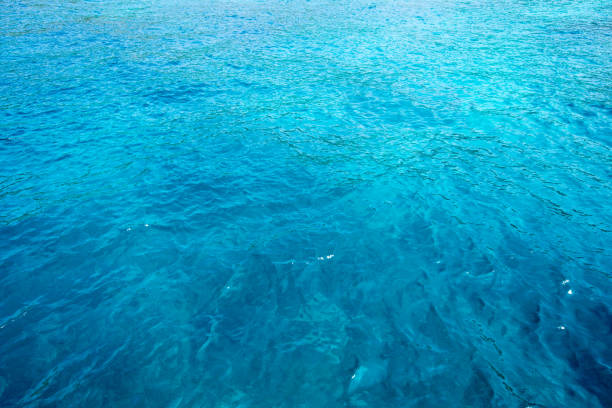 tropical Maldives blue sea background