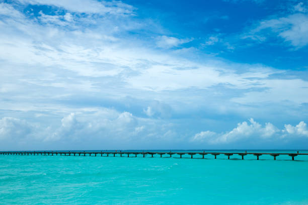beautiful beach and tropical sea
