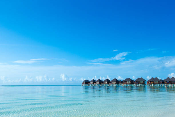 Beautiful Island life.