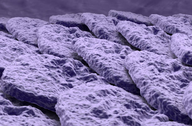As the body’s largest organ, skin protects against germs, regulates body temperature and enables touch (tactile) sensations. The skin’s main layers include the epidermis, dermis and hypodermis and is prone to many problems, including skin cancer, acne, wrinkles and rashes.