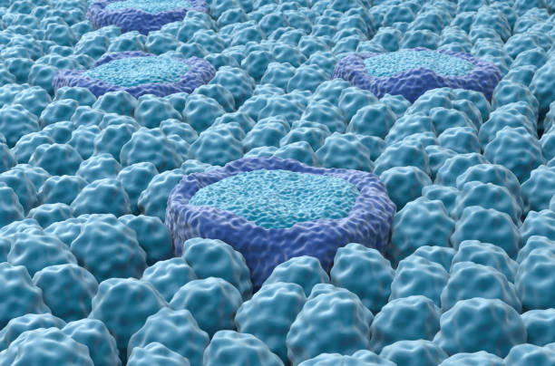 3d plant Cell structure