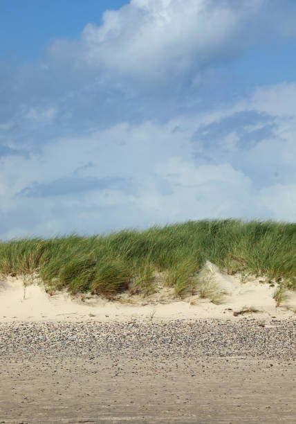 istock desolate desert landscape with sand and rocks and little vegetation 2191634883