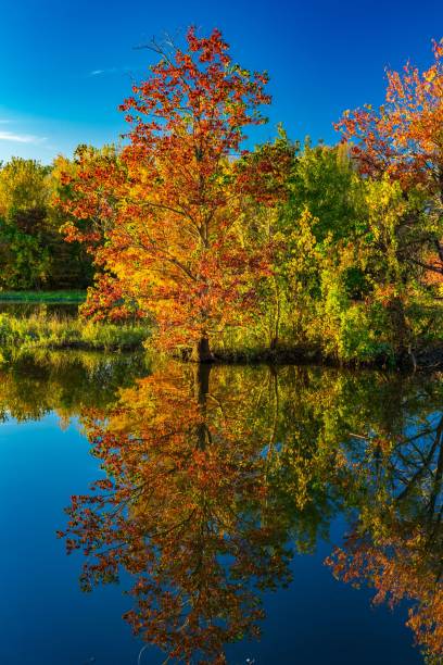 istock Vibrant autumn foliage reflected in a calm lake under a clear blue sky 2191637186