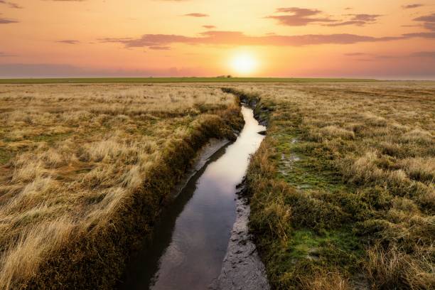 istock sunset on the salt marshes 2191638822