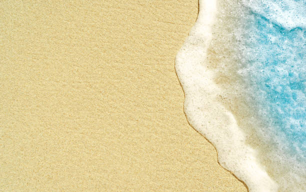 istock beautifully sand beach, closeup, top view 2191639561