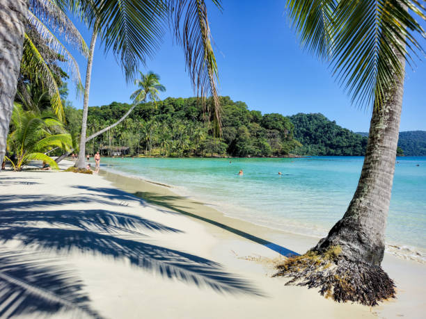 istock Tranquil beach escape at Koh Kood with swaying palms and crystal-clear waters 2191640955