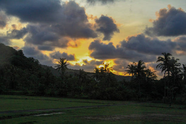 istock A dramatic sunset over a lush tropical landscape, with dark silhouetted palm trees and hills framing the vibrant orange and yellow glow in the sky. Thick clouds add depth and contrast to the serene scene. 2191642844