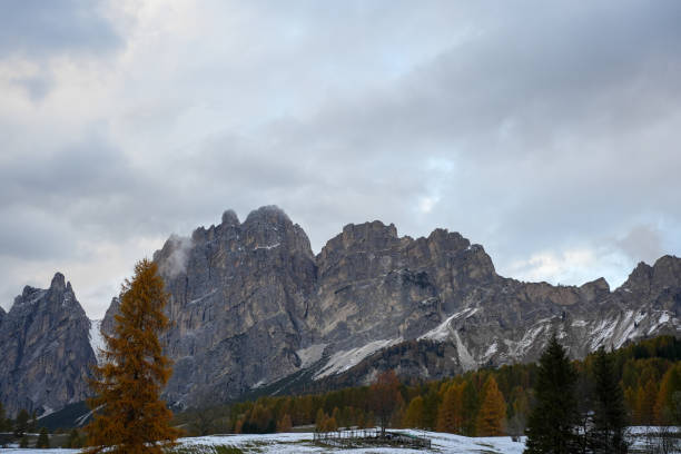 Majestic mountain peaks dusted with snow beneath cloudy skies. A serene alpine landscape with a lush evergreen forest in the foreground.