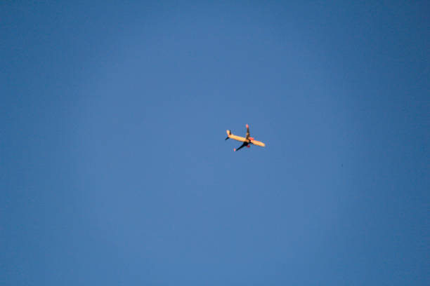 istock A bright yellow airplane captured mid-flight against a clear, vibrant blue sky. The minimalistic composition emphasizes the plane and the vast expanse of open air. 2191643427