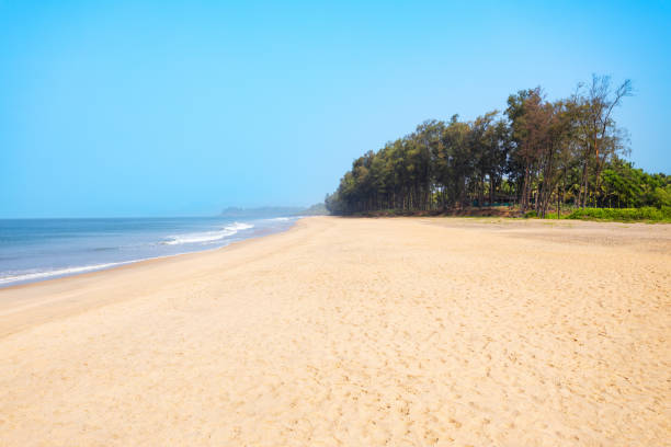 Galgibaga Beach at sunset, Goa state in India