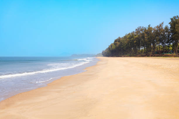 istock Galgibaga Beach at sunset, Goa state in India 2191644811