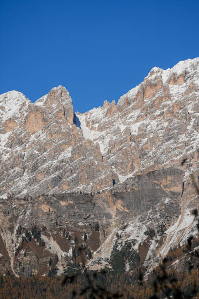 Majestic snow-capped mountain range with rugged cliffs below a vibrant blue sky. Picturesque alpine scenery with forest at the base.