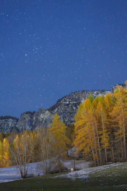 Illuminated tent under starry night sky in autumn forest. Pristine mountain landscape with golden trees. Tranquil outdoor camping scene under starlit sky.