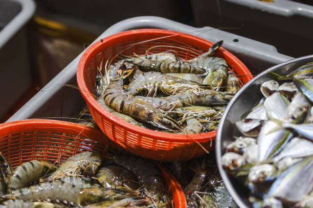 istock Fresh seafoods on fish market stalls. 2191646565