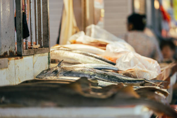 Fish market from Little India - Singapore.