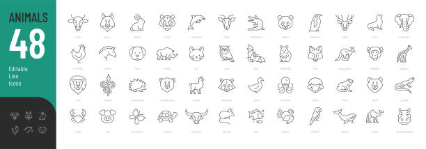 tierlinie bearbeitbare symbole eingestellt. - tierthemen stock-grafiken, -clipart, -cartoons und -symbole