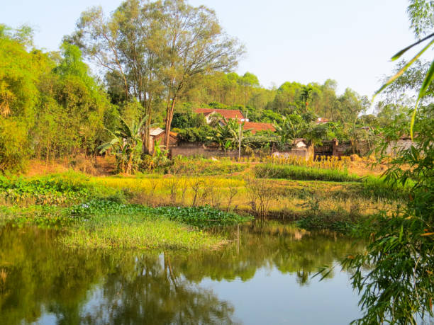 Small village in rural Vietnam with pond in front