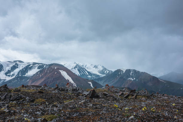 istock Dramatic alpine view from sharp rocks among mosses and grasses to large mountain range with snow-capped pinnacle in gray cloudy sky. Atmospheric silhouettes of big snowy mountains in rainy weather. 2191655930