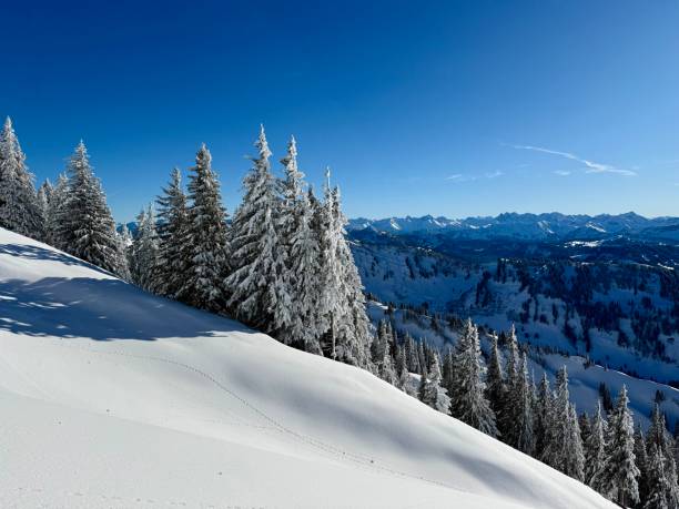 istock Winter Wonderland in the mountains 2191656849