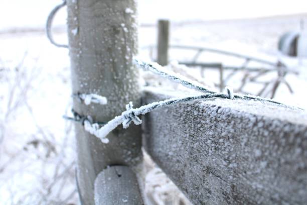 istock Twisted and Frosted Barbed Wire 2191658114