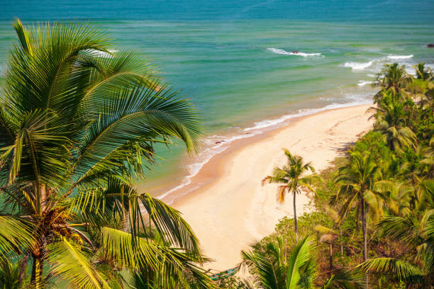 istock Goa beach aerial view, India 2191658171