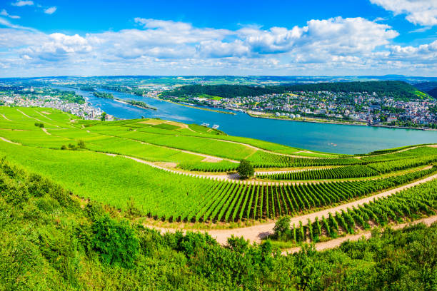 istock Rudesheim am Rhein Vineyards, Germany 2191659694