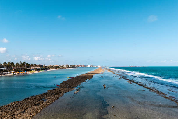 Aerial view of Muro Alto beach, Pernambuco
