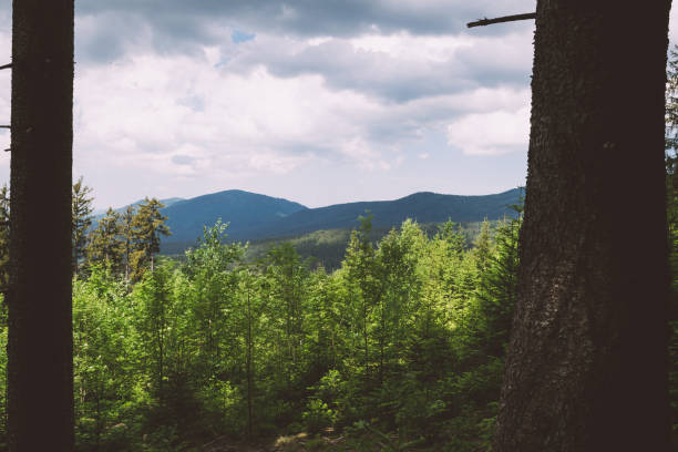 View from a mountain in the valley in the bavarian forest with trees in front of and mountains in the background and much clouds on the sky