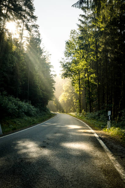 istock Sunrays in the tree with a asphalt road through the bavarian forest 2191663873