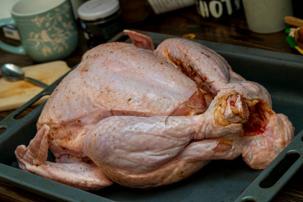 istock Raw turkey prepared for cooking on a baking tray in a kitchen 2191665857