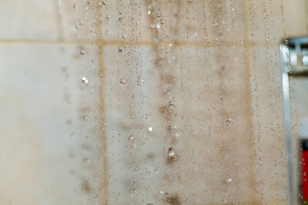 Water flows steadily from a showerhead, creating a shower of droplets that glisten against a smooth tiled wall in a bathroom environment.