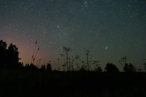 istock field landscape with night sky and glowing stars 2191666483