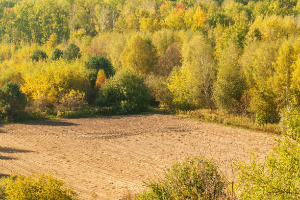 istock Freshly plowed field surrounded by dense autumn forest with vibrant foliage. 2191667107