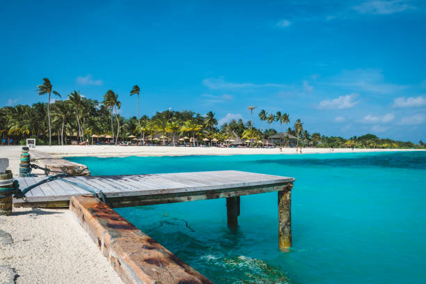 istock Jetty at the Maldives with turqoise water and blue sky 2191668111