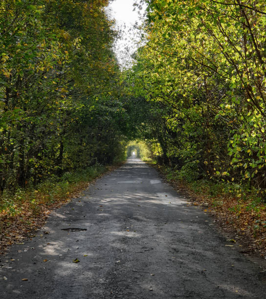 istock Old road in autumn forest. 2191669520
