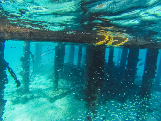 istock Diving in the Maldives with corals and fish 2191670122