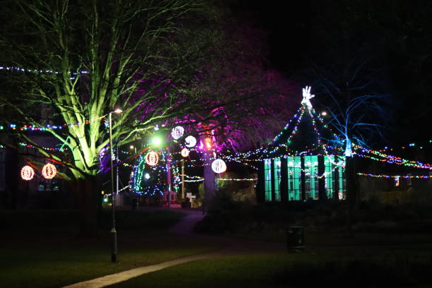 istock Christmas lights in a park at night 2191673091