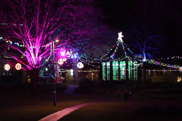 istock Christmas lights in a park at night 2191673140