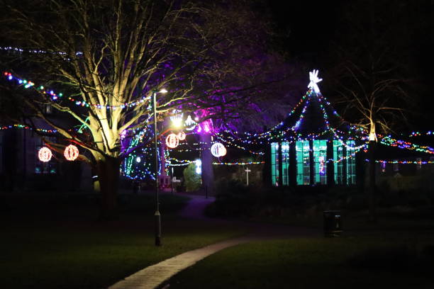 istock Christmas lights in a park at night 2191673193