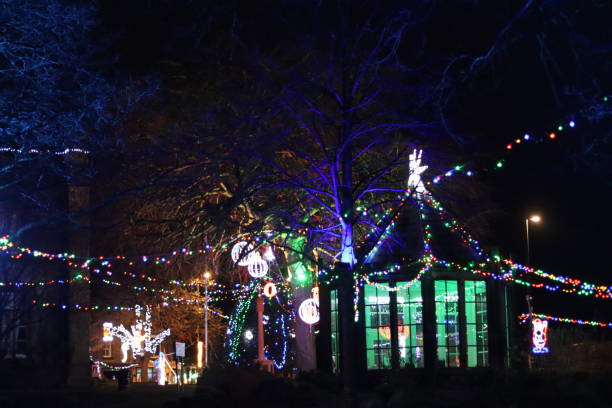 istock Christmas lights in a park at night 2191673215