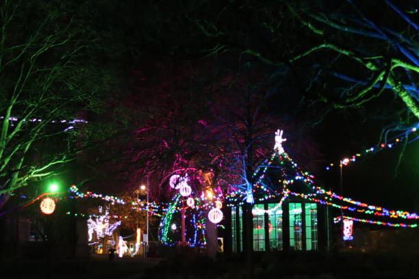 istock Christmas lights in a park at night 2191673321