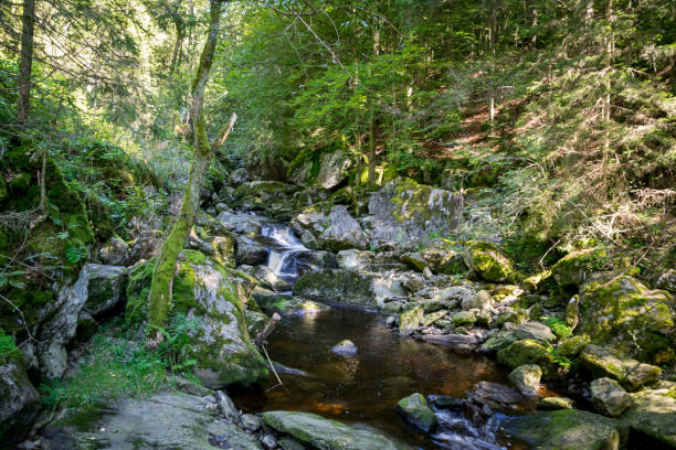 istock Creek with green Moss in the bavarian forest with great stones in front of 2191675893