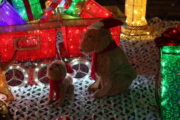 istock Christmas festive outdoor lights display at night 2191676533
