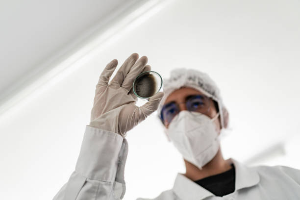 Close-up of a scientist holding a scientific experiment on a laboratory