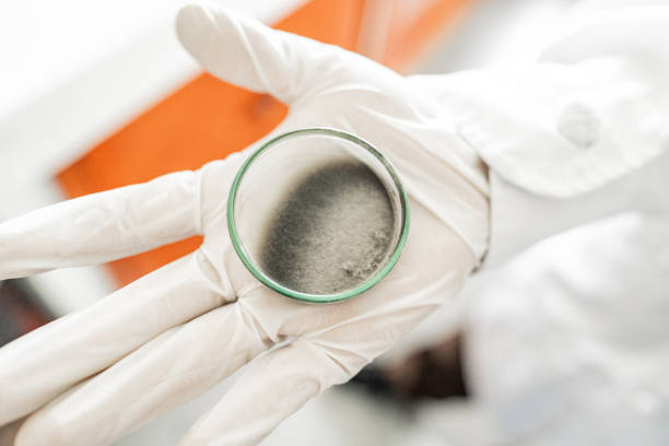 Close-up of a scientist holding a scientific experiment on a laboratory