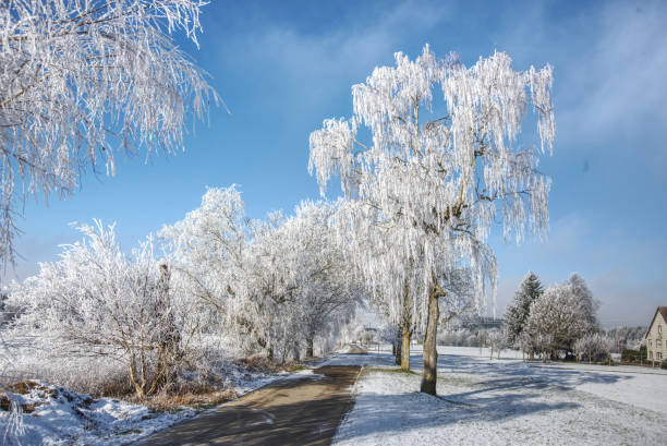 a very impressive contrast between ice and blue sky
