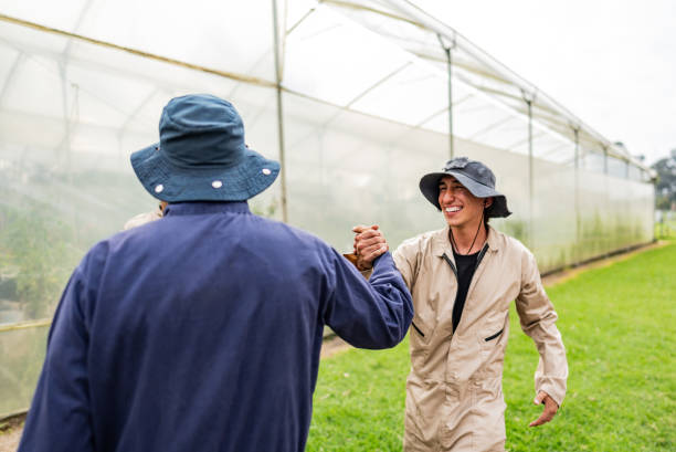 Farmer workers greeting each other on a greenhouse