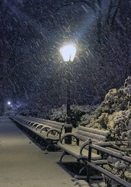 Central Park in winter during snow storm in the early morning