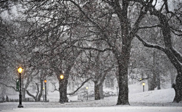 istock Central Park in winter , during snow storm 2191678781